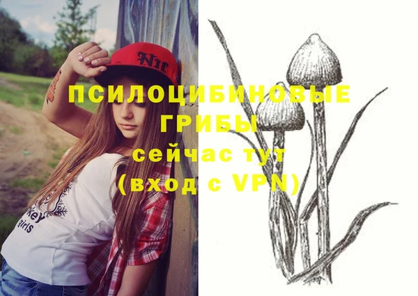дживик Алексеевка