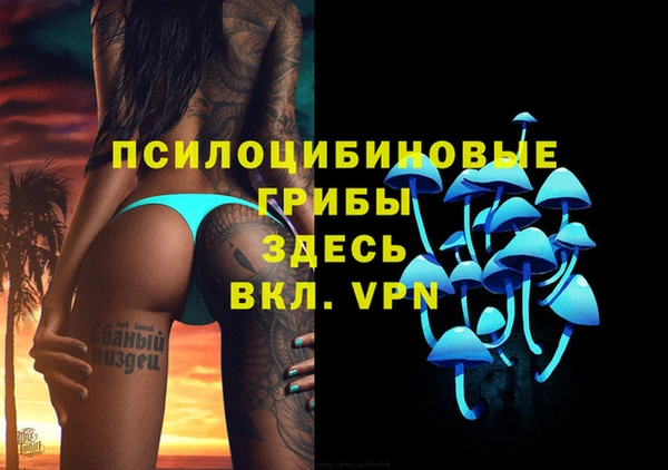 дмт Нязепетровск