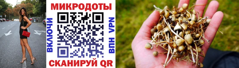 ссылка на мегу ТОР  Гуково  маркетплейс как зайти  Галлюциногенные грибы Psilocybine cubensis 